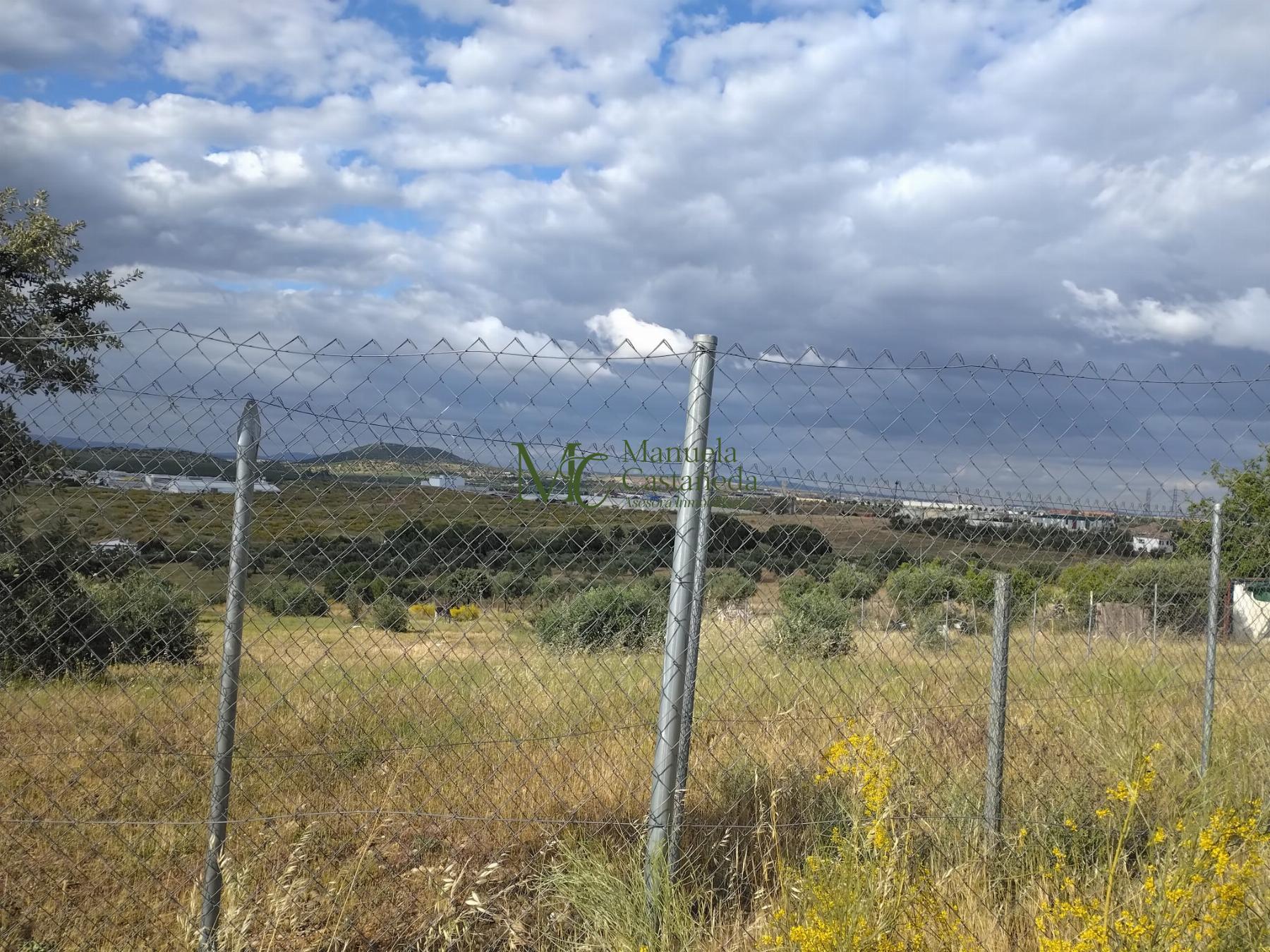 Venta de finca rústica en Mérida
