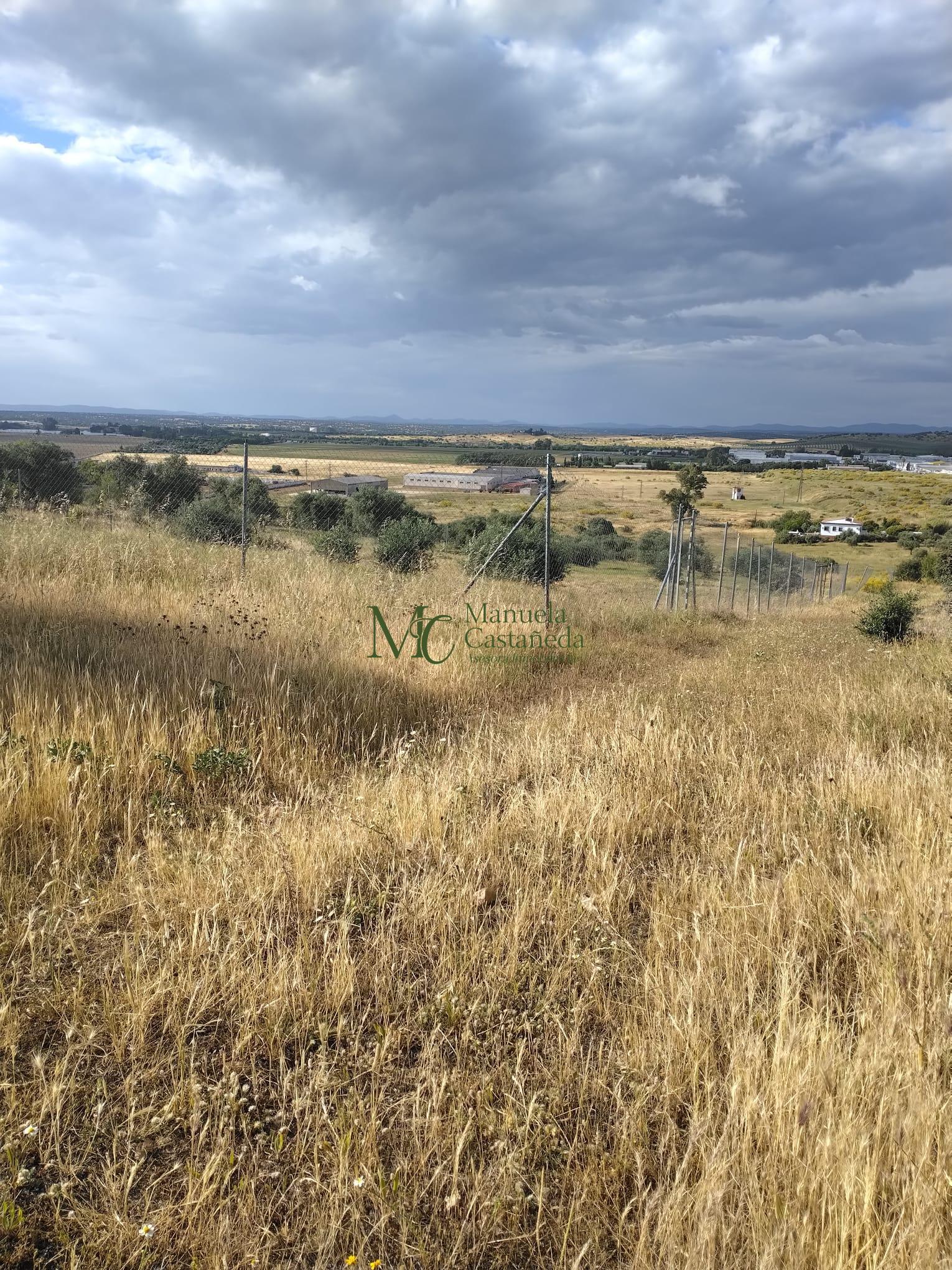 Venta de finca rústica en Mérida