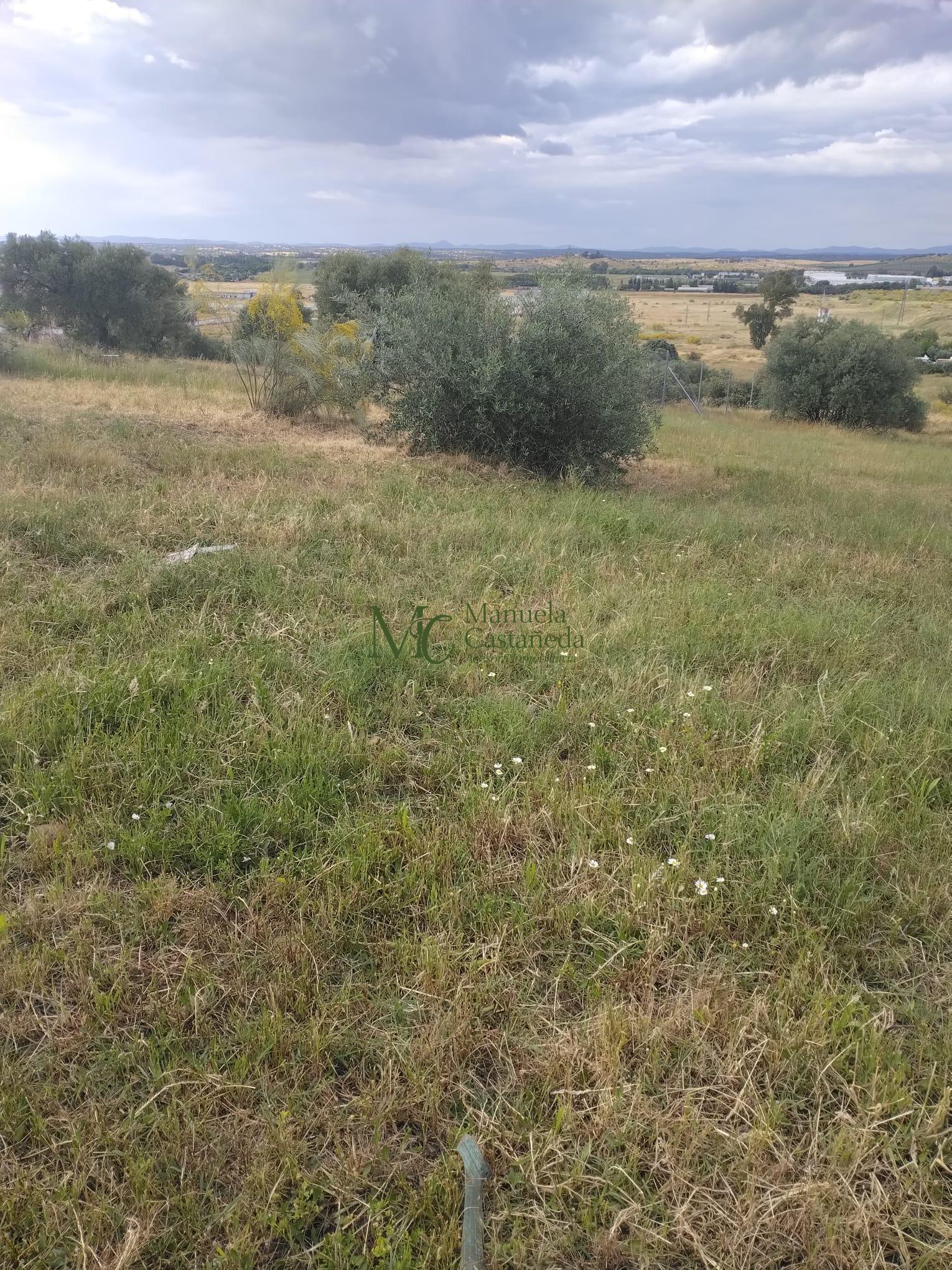 Venta de finca rústica en Mérida