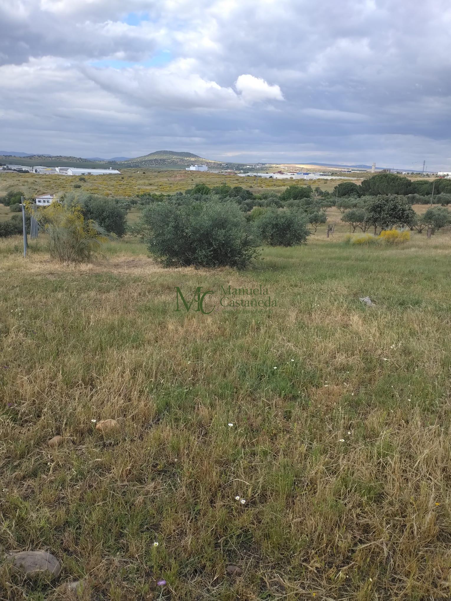 Venta de finca rústica en Mérida