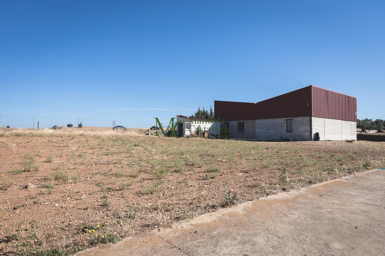 Venta de finca de recreo en Don Álvaro