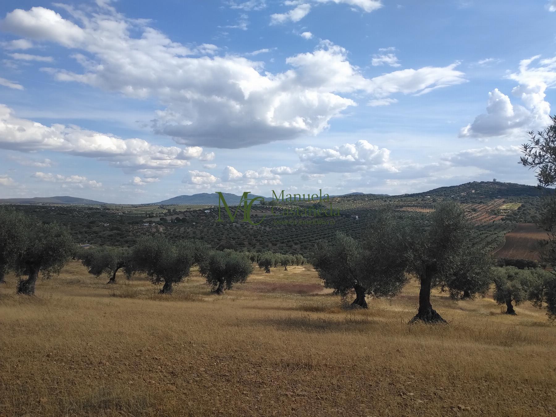Venta de terreno en Guareña