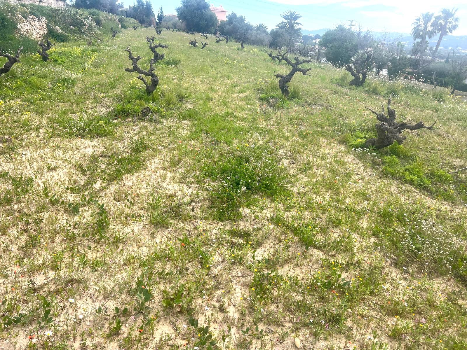 Venta de terreno en Jávea-Xàbia