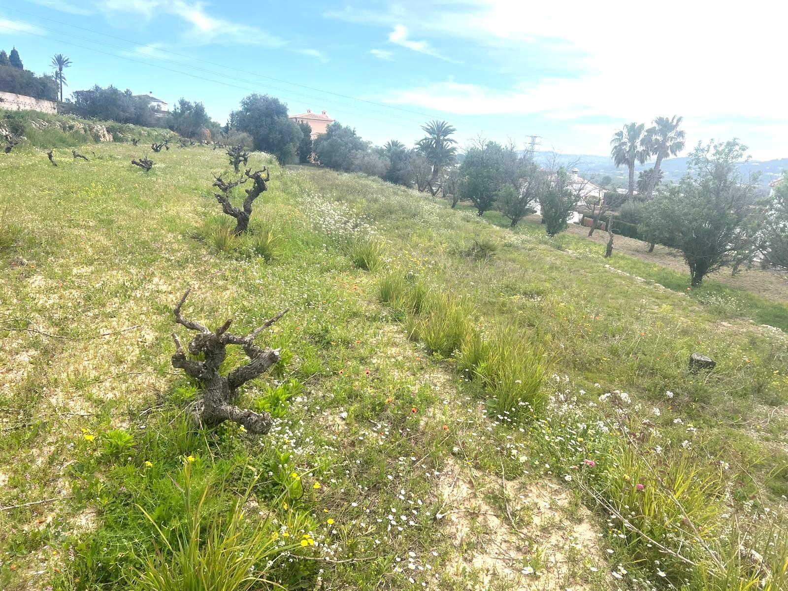 Venta de terreno en Jávea-Xàbia