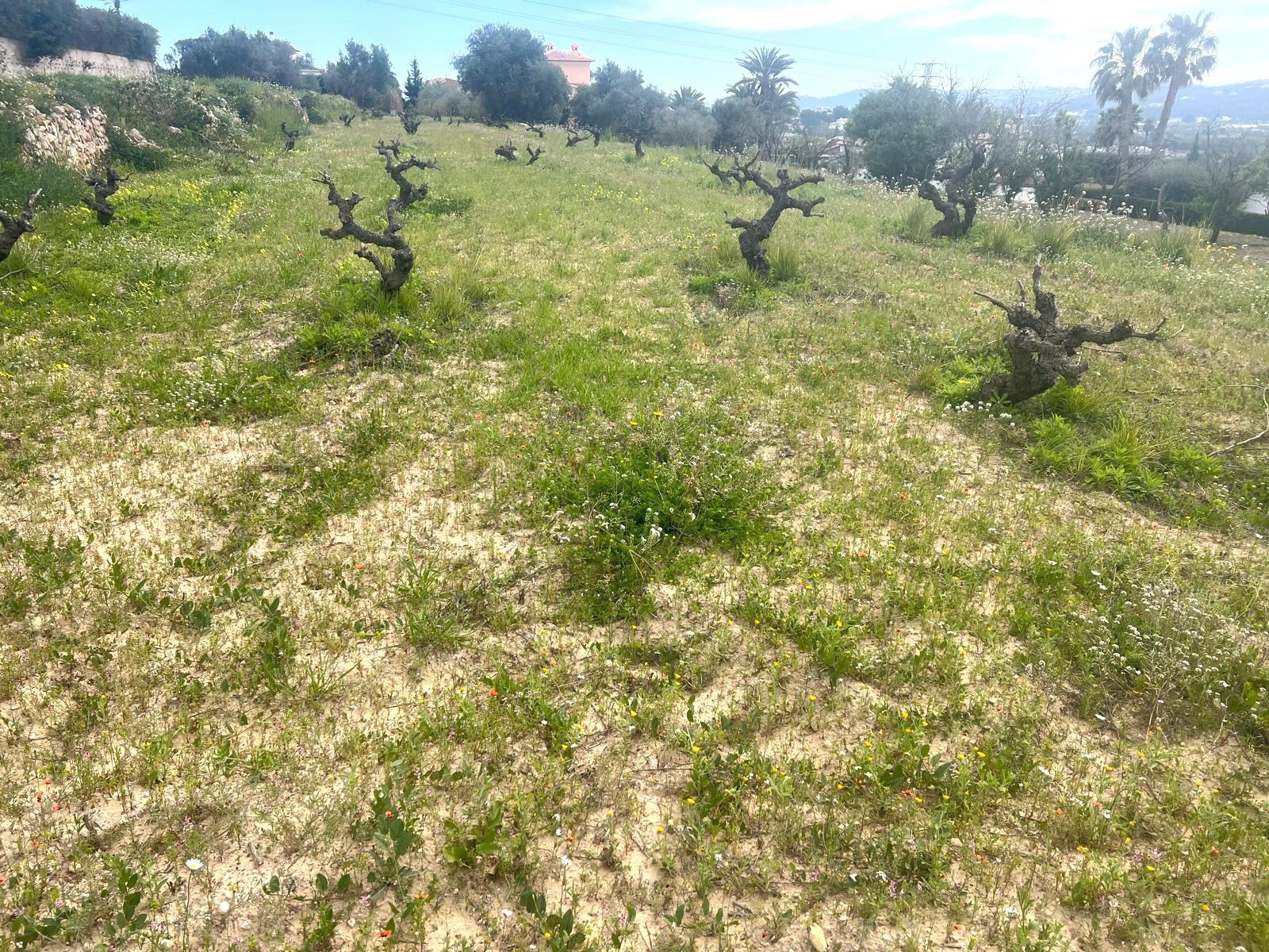 Venta de terreno en Jávea-Xàbia