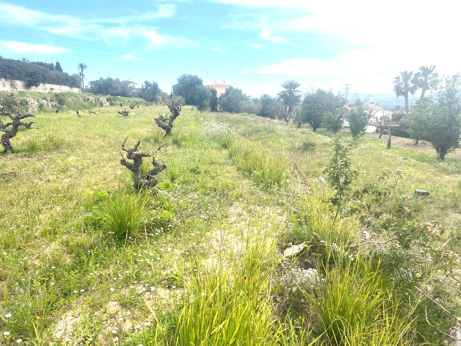 Venta de terreno en Jávea-Xàbia