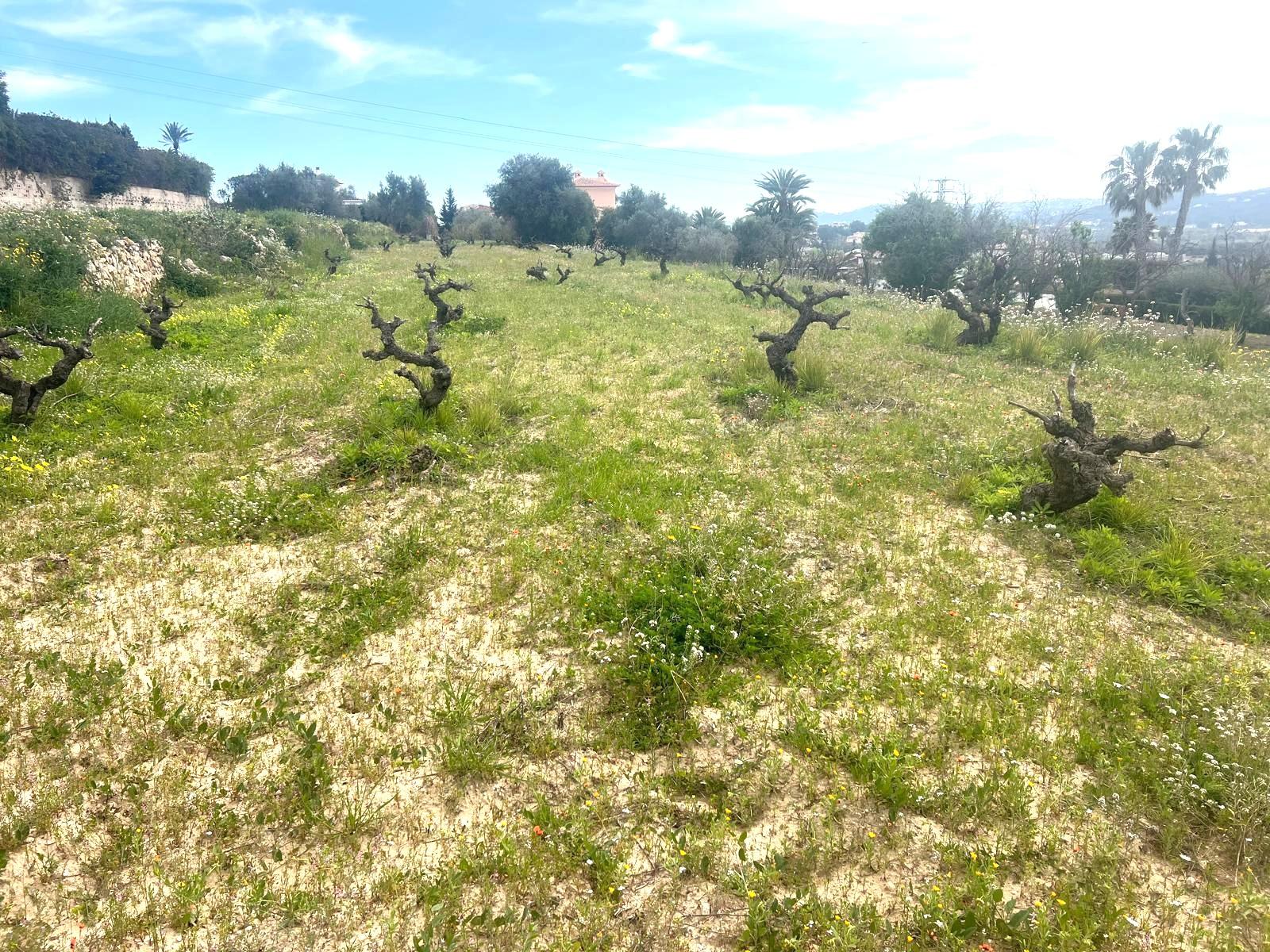 Venta de terreno en Jávea-Xàbia