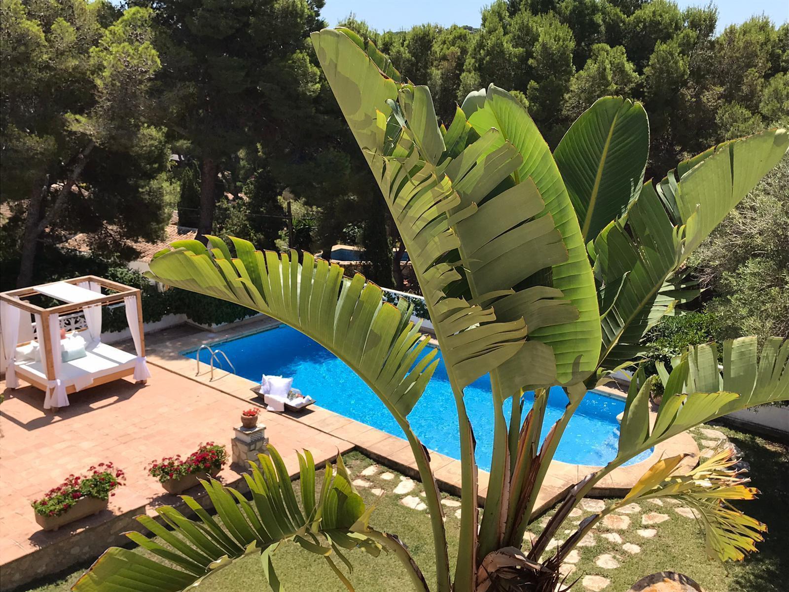 Venta de chalet en Jávea-Xàbia