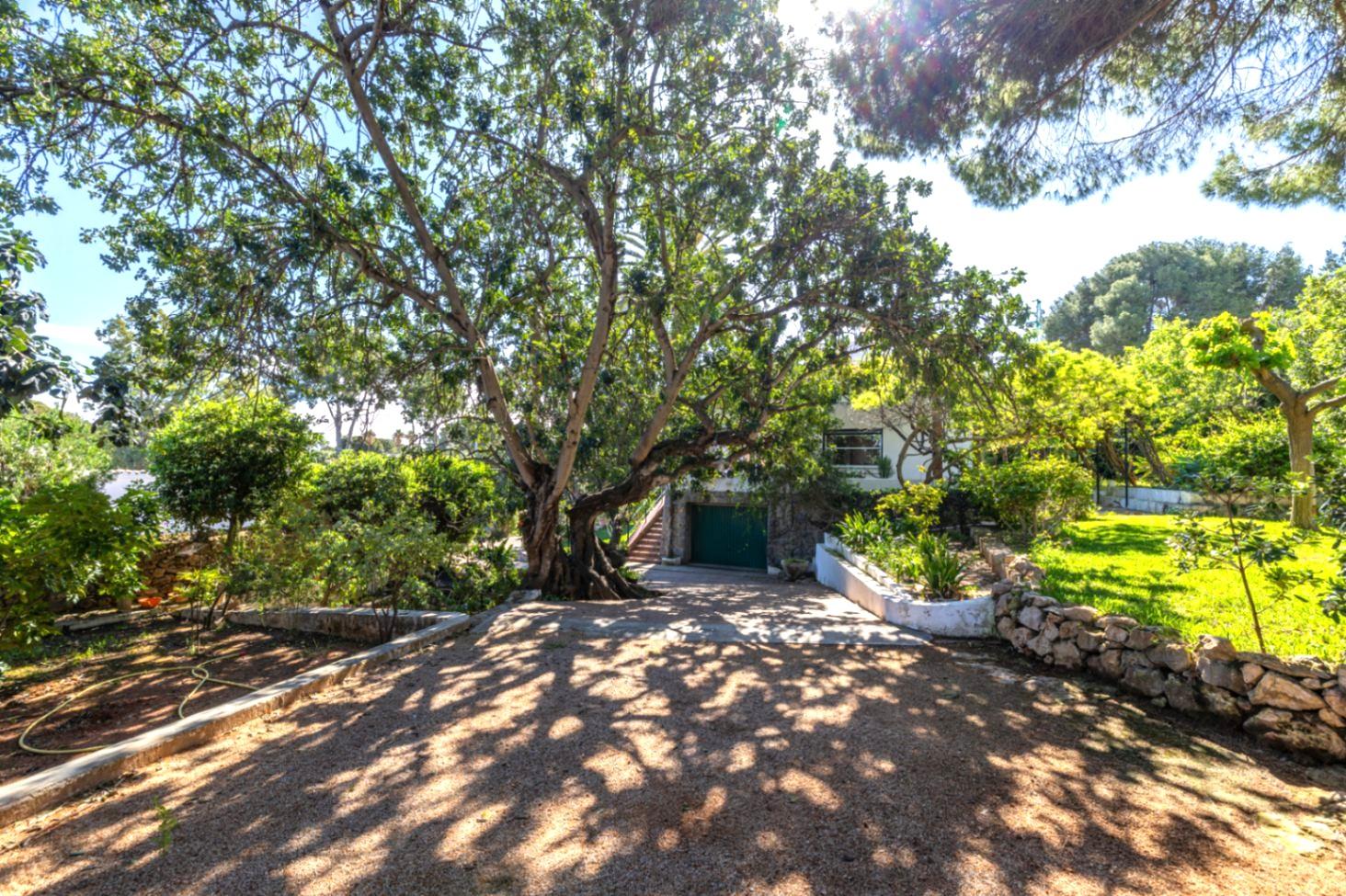 Venta de chalet en Dénia