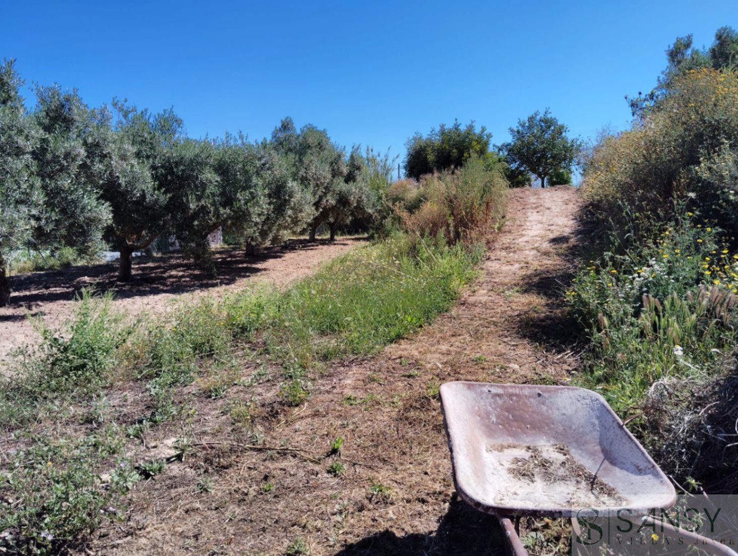 Venta de finca rústica en Teulada