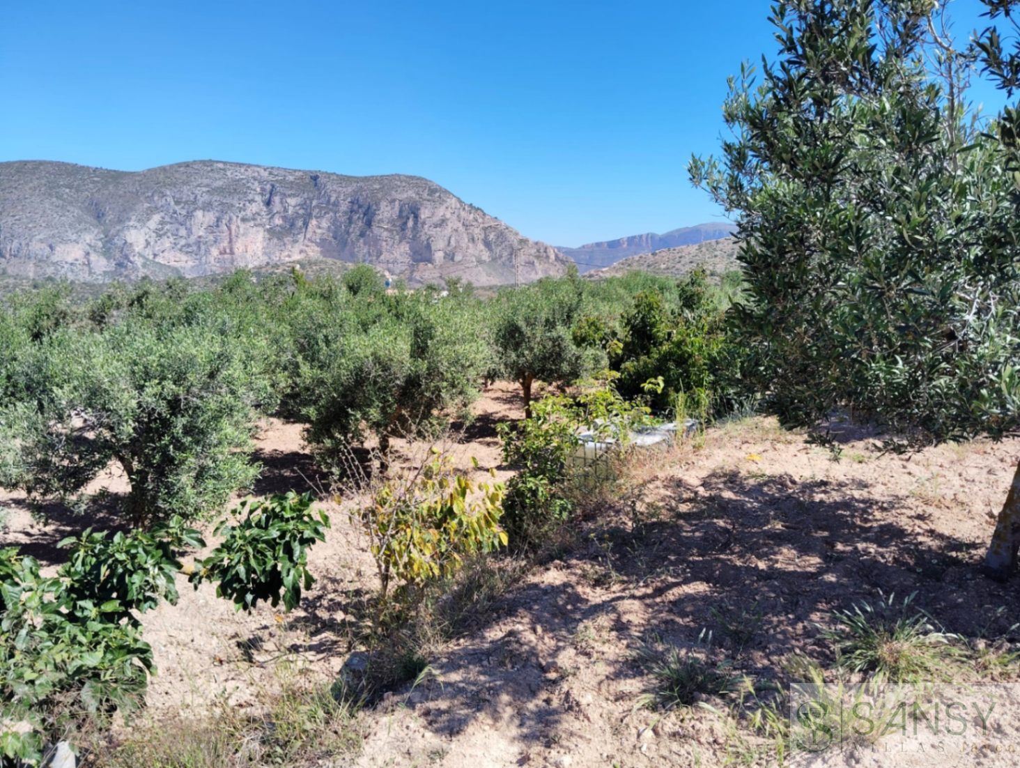 Venta de finca rústica en Teulada