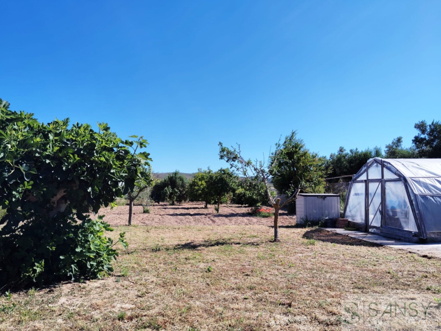 Venta de finca rústica en Teulada