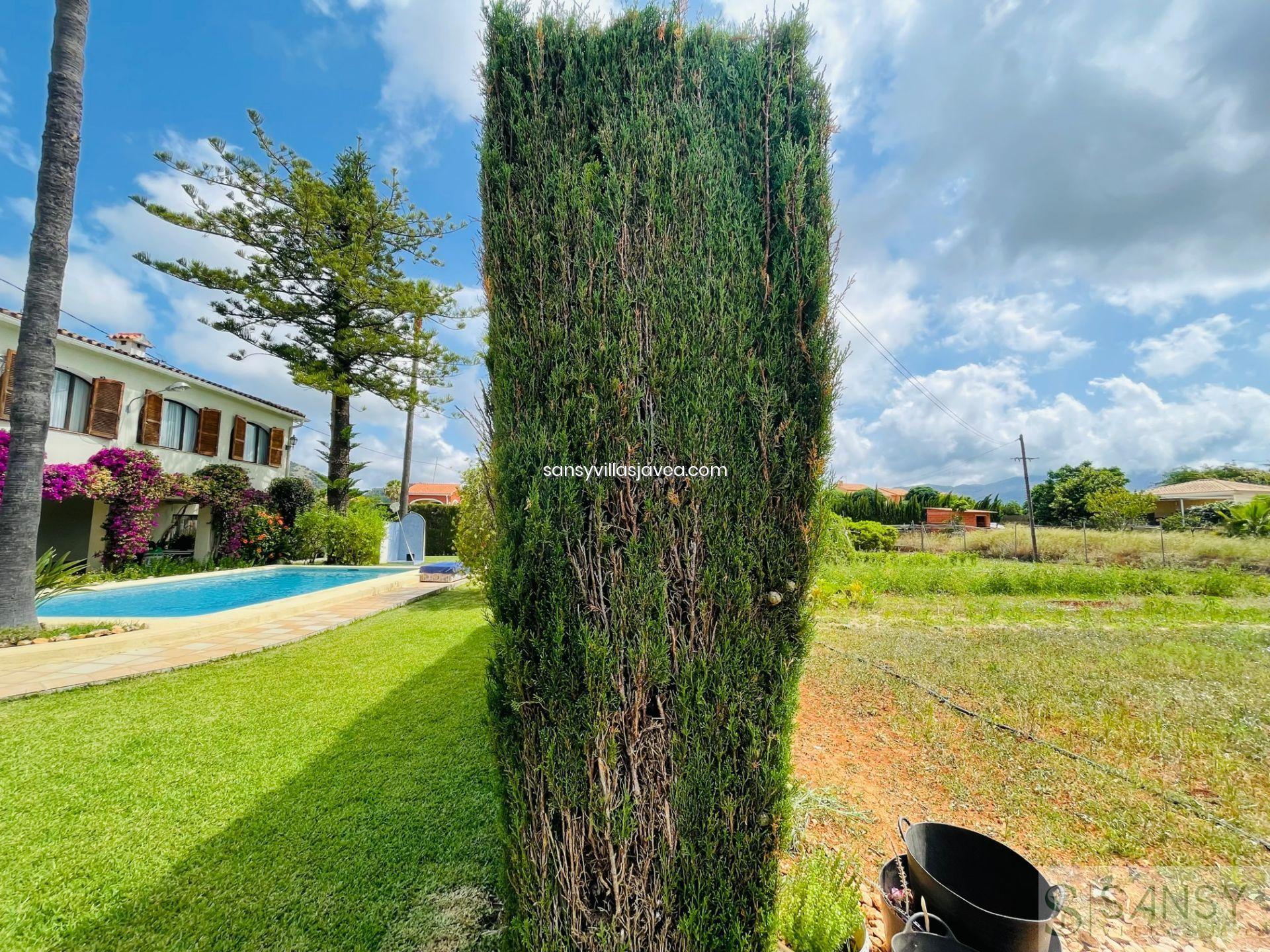 Venta de finca rústica en Pedreguer Venta de finca rústica en Pedreguer