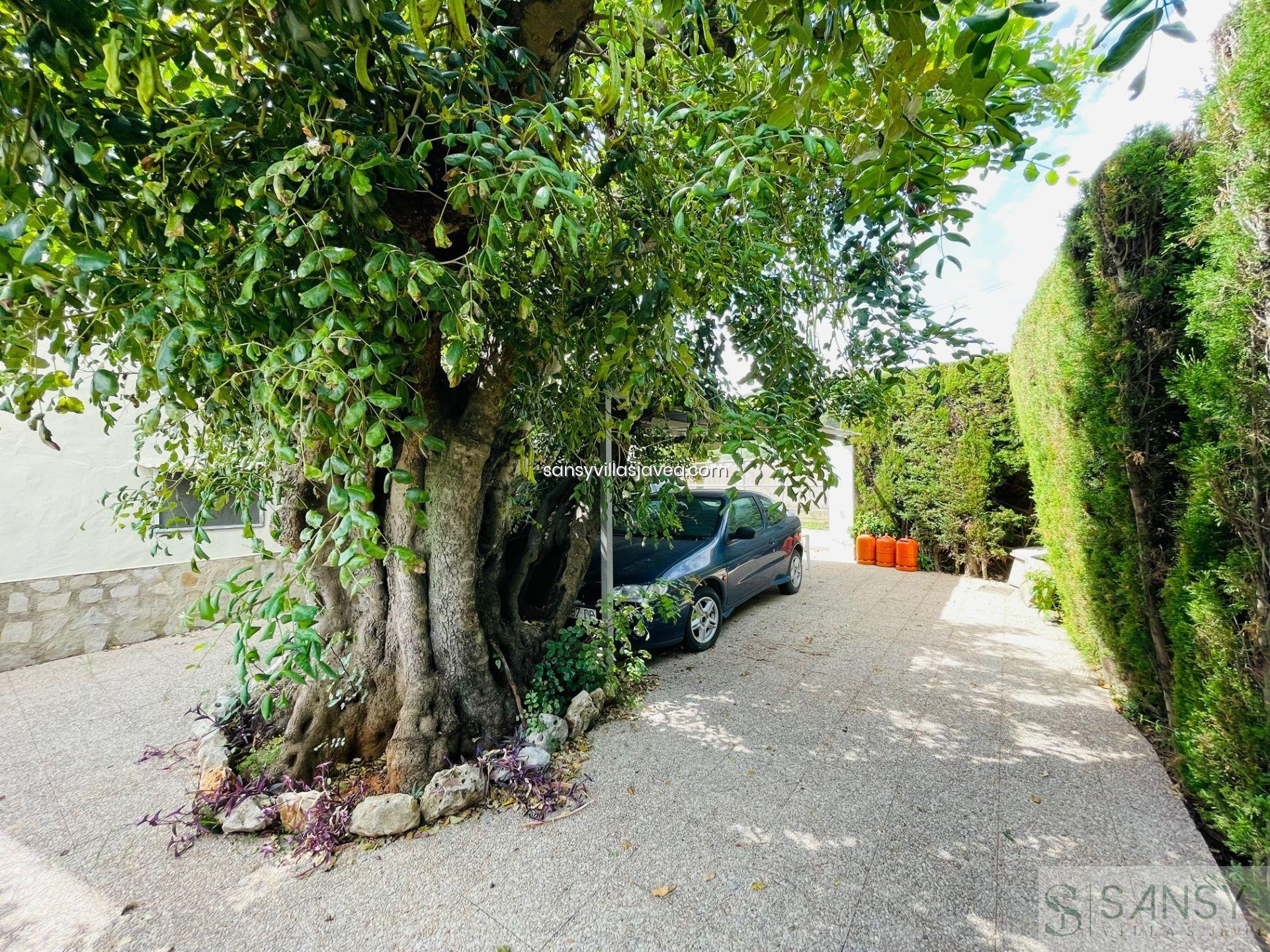 Venta de finca rústica en Pedreguer Venta de finca rústica en Pedreguer