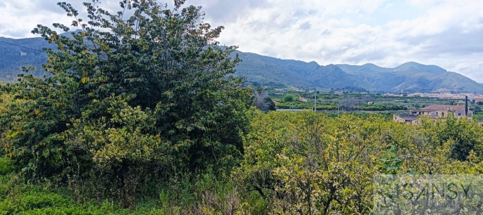 Venta de terreno en Pego Venta de terreno en Pego