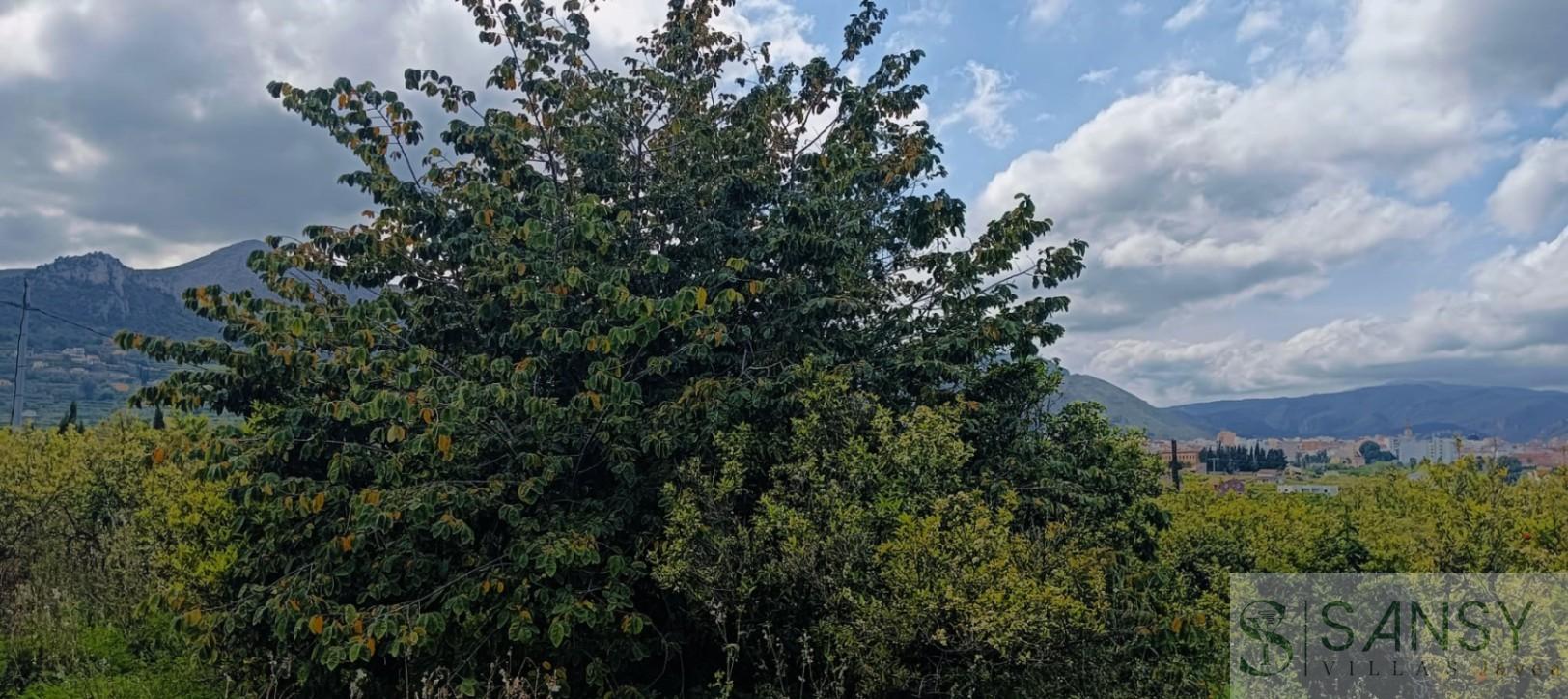 Venta de terreno en Pego Venta de terreno en Pego