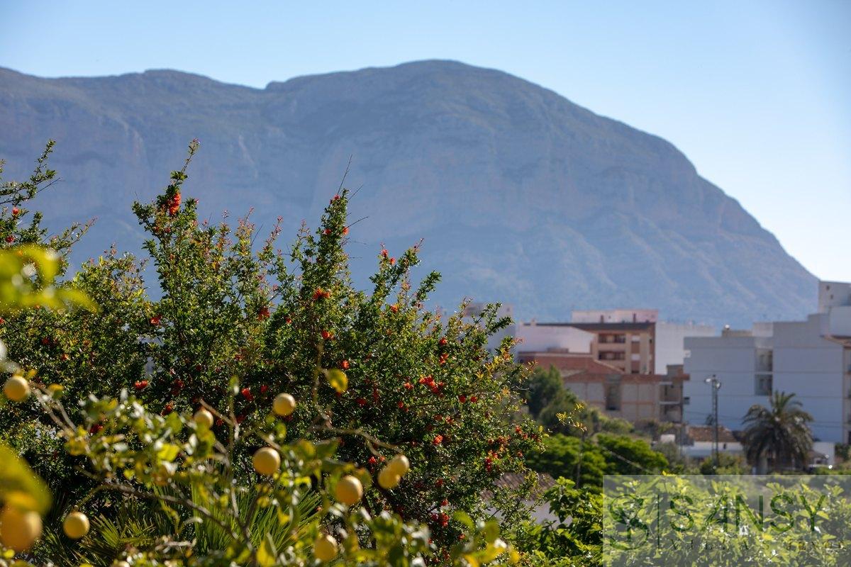 Vendita di proprietà rurale in Gata de Gorgos