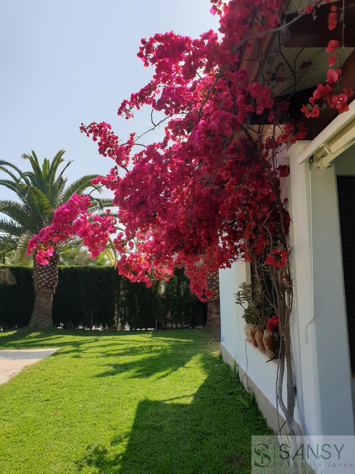 Venta de villa en Jávea-Xàbia