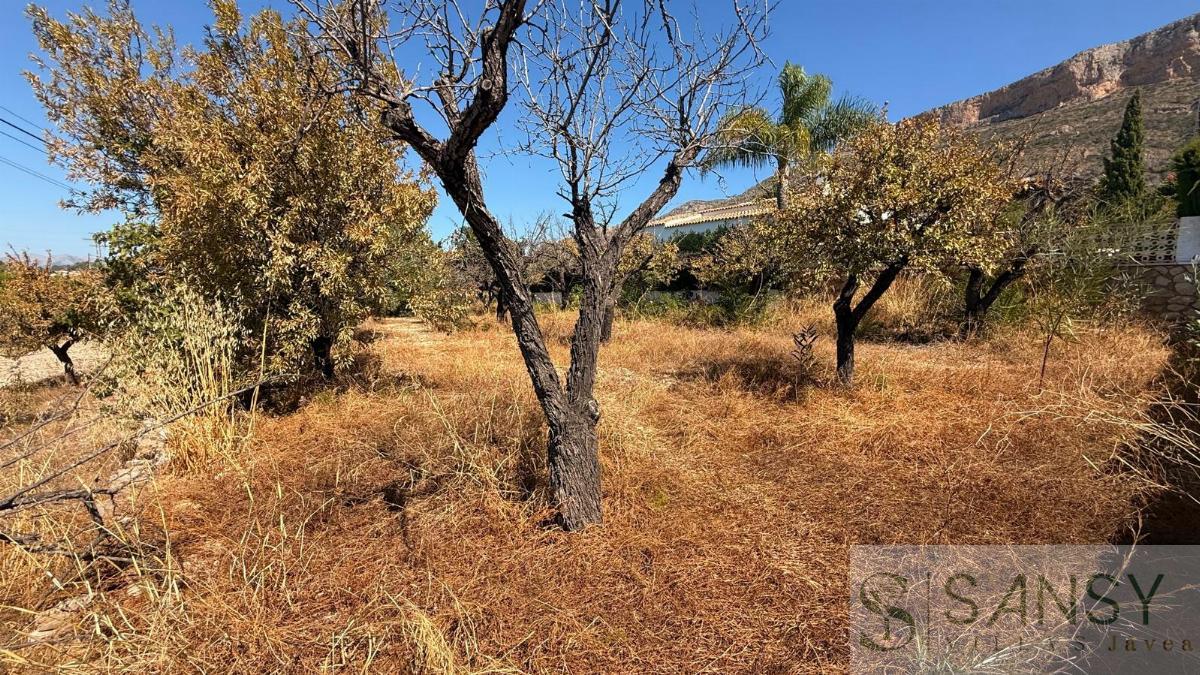 Venta de terreno en Jávea-Xàbia Venta de terreno en Jávea-Xàbia