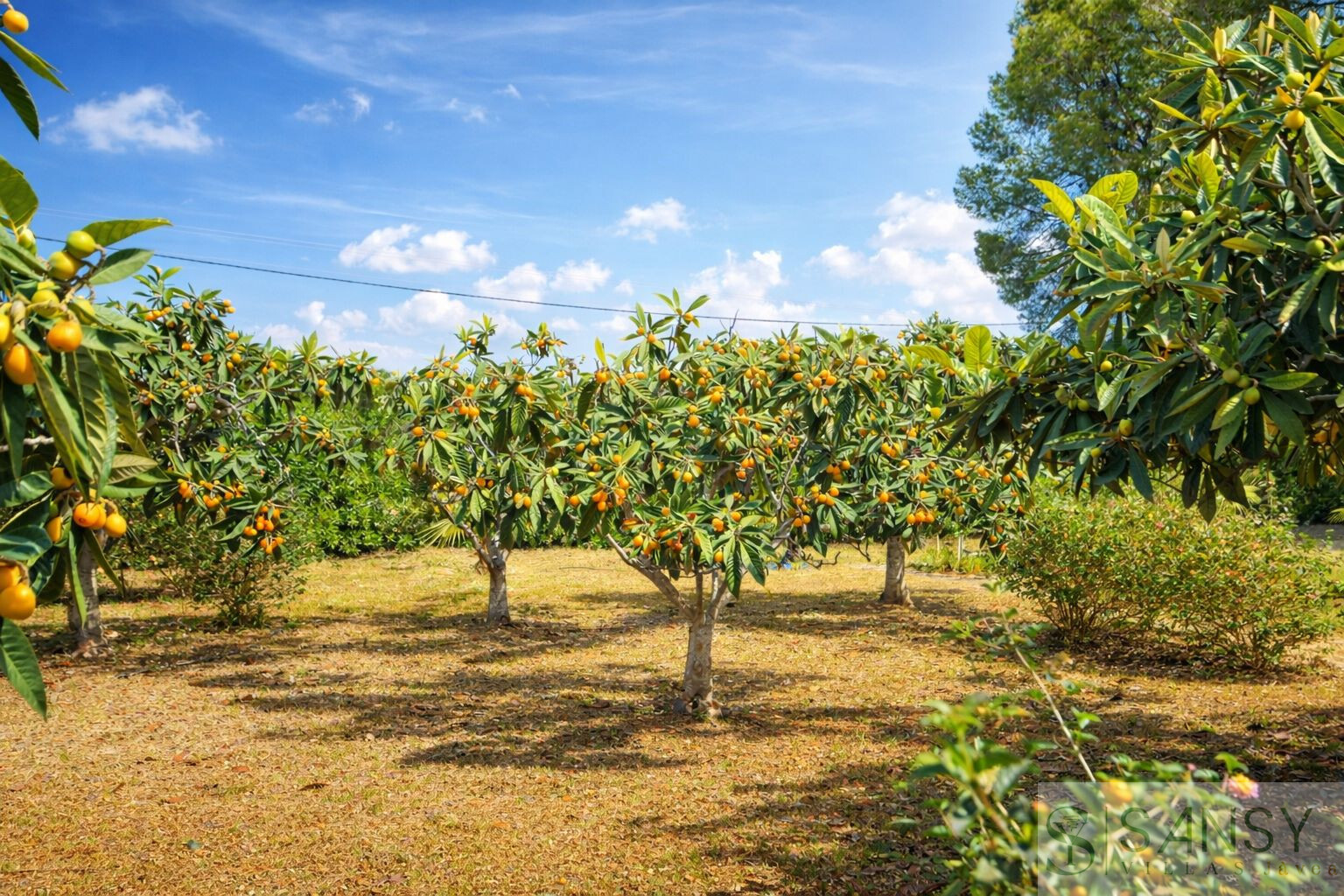 Venta de villa en Dénia