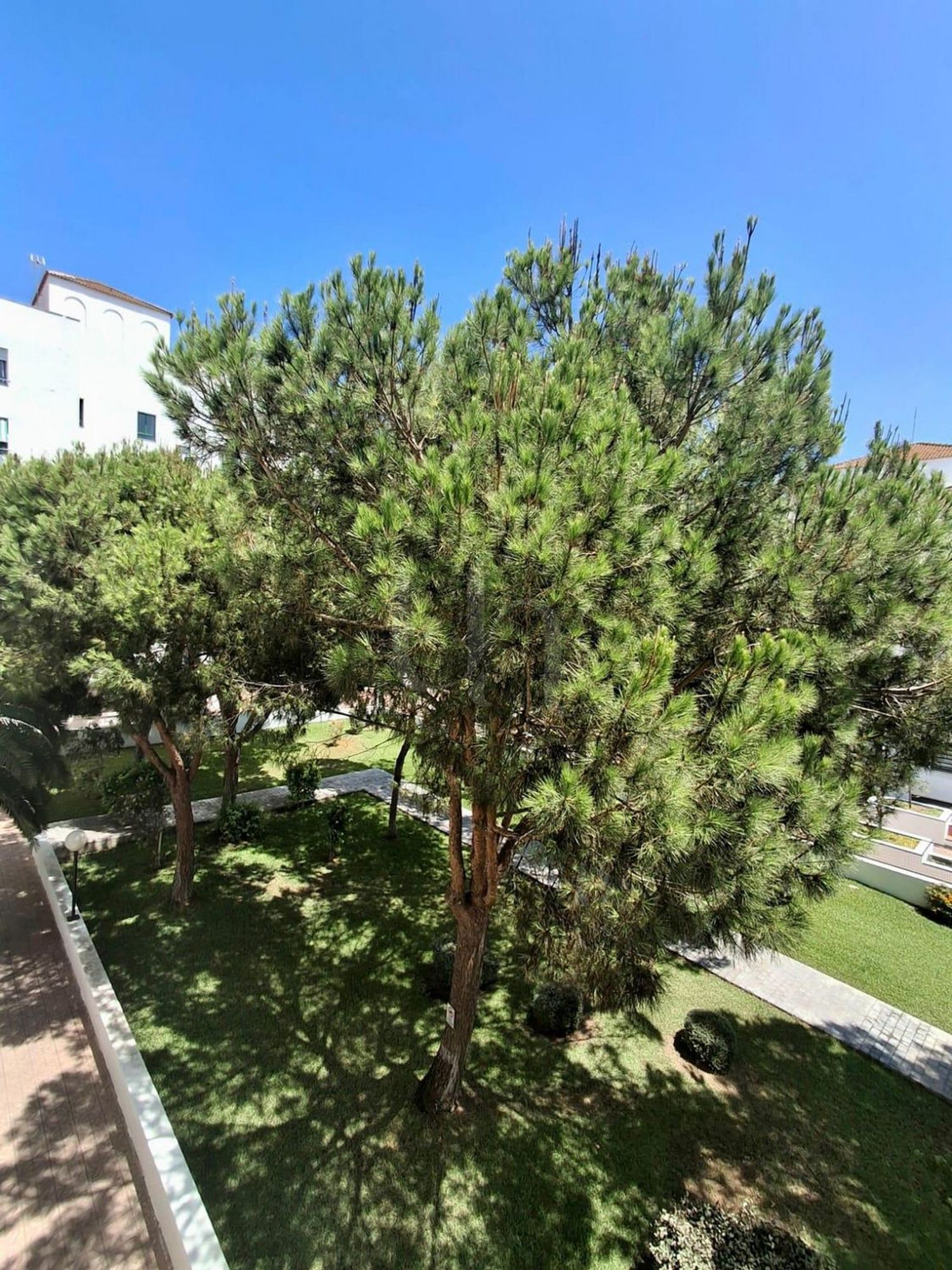 Alquiler de piso en El Puerto de Santa María
