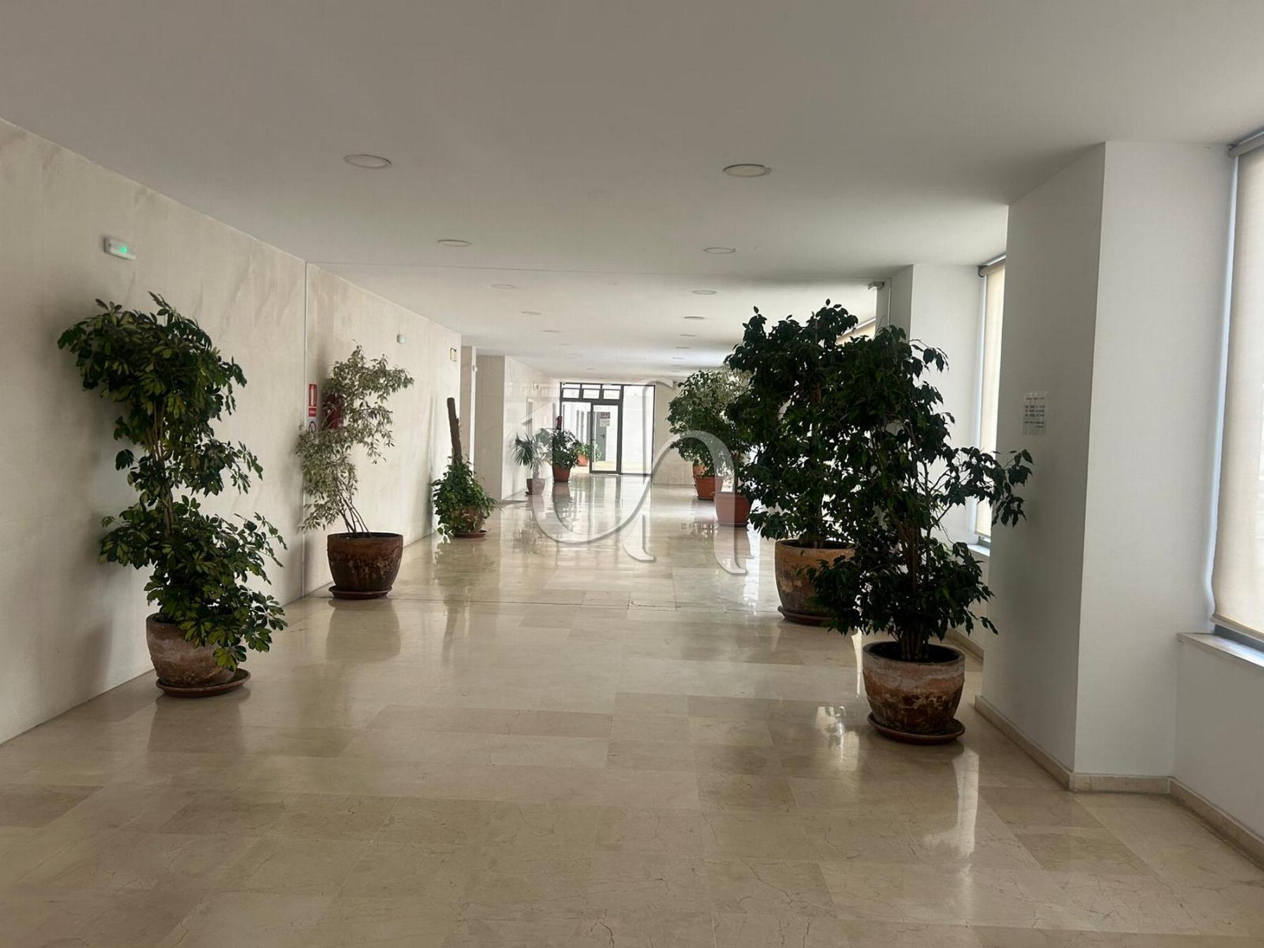 Venta de estudio en El Puerto de Santa María