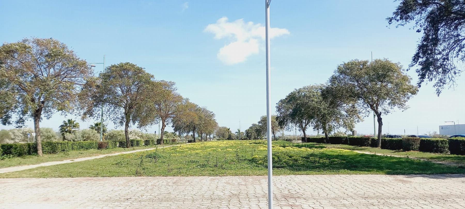 Venta de terreno en El Puerto de Santa María
