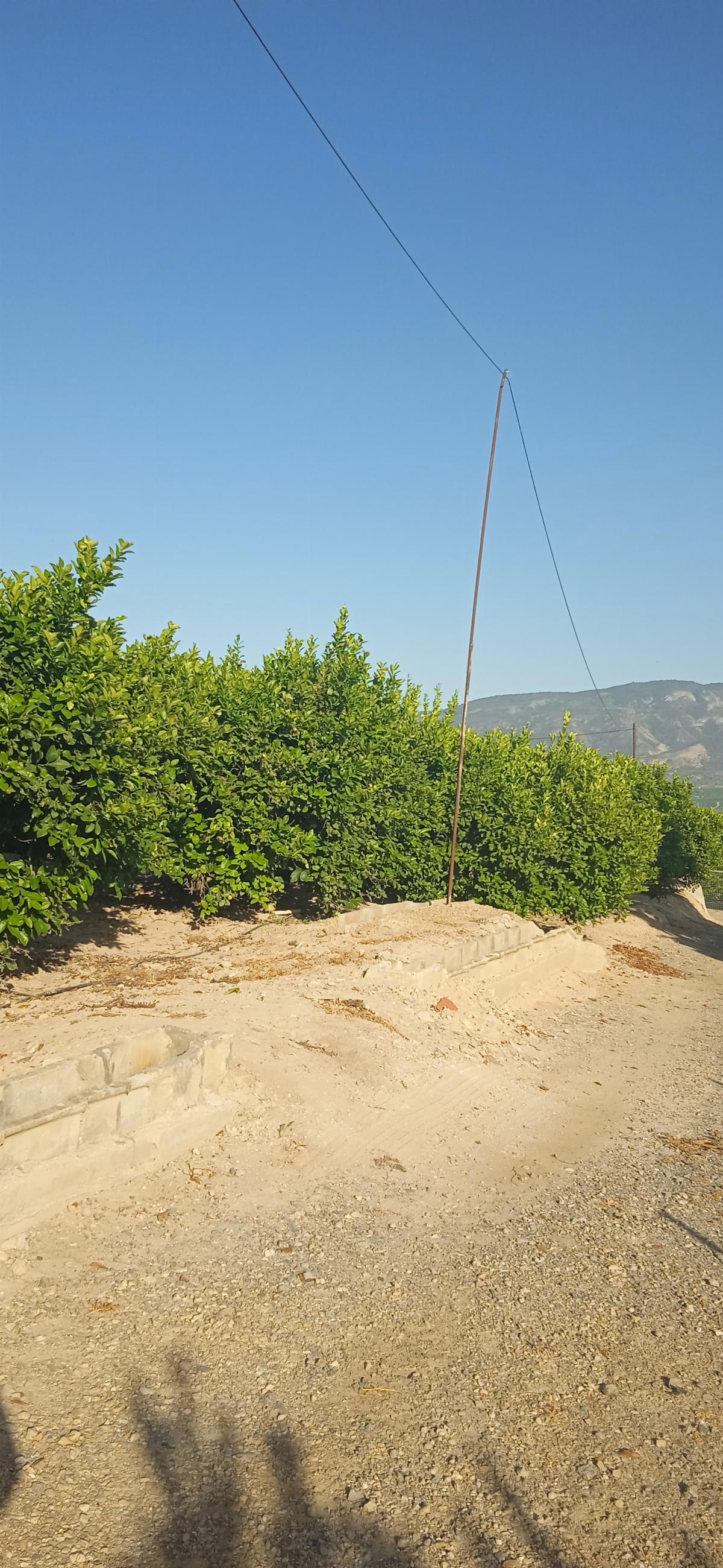 For sale of rural property in Librilla
