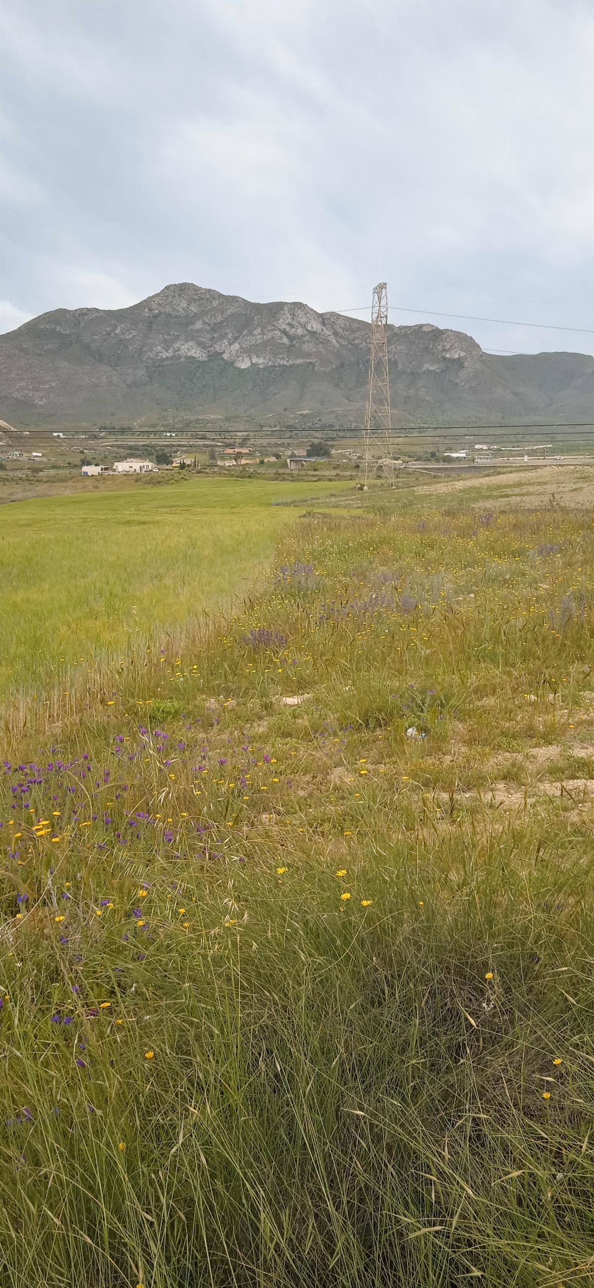 Venta de finca rústica en Mazarrón