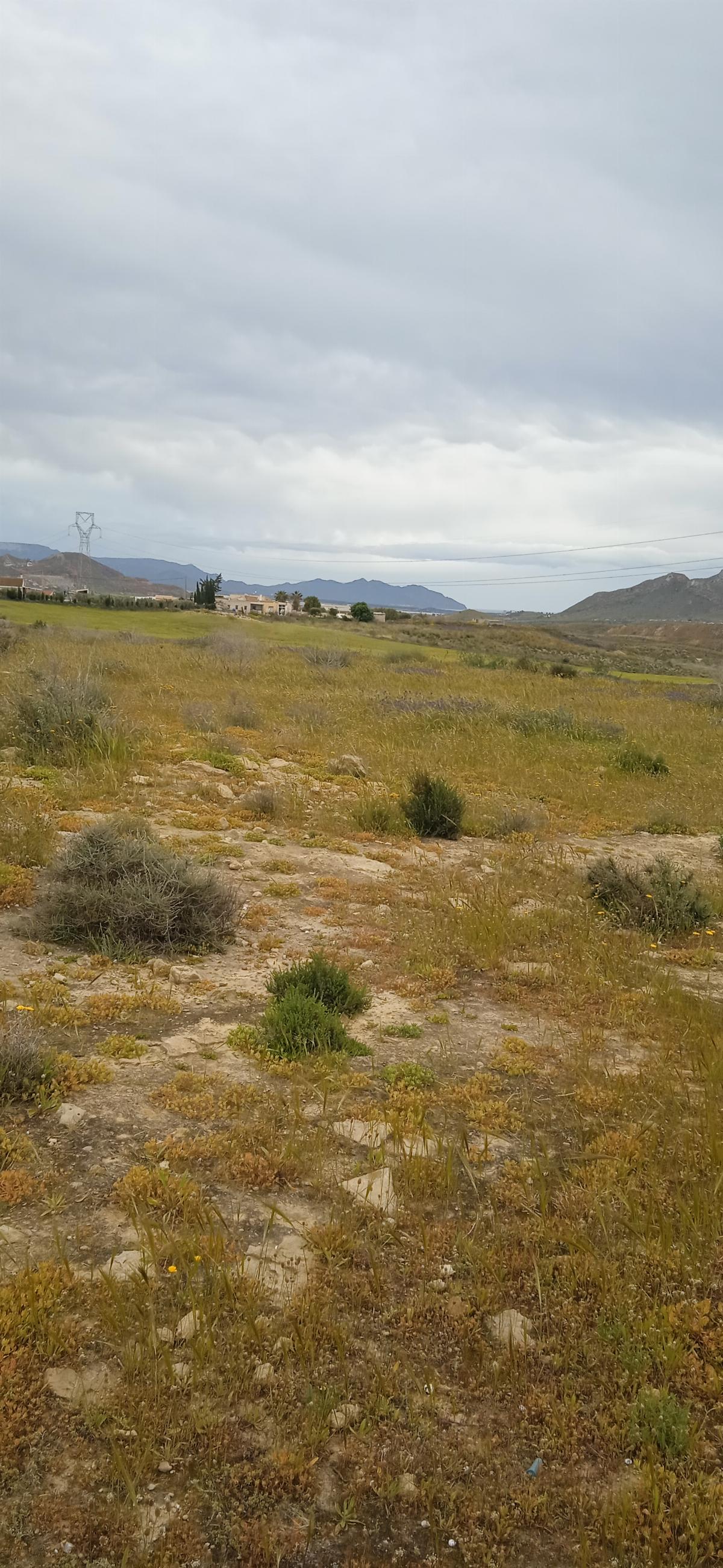 Venta de finca rústica en Mazarrón
