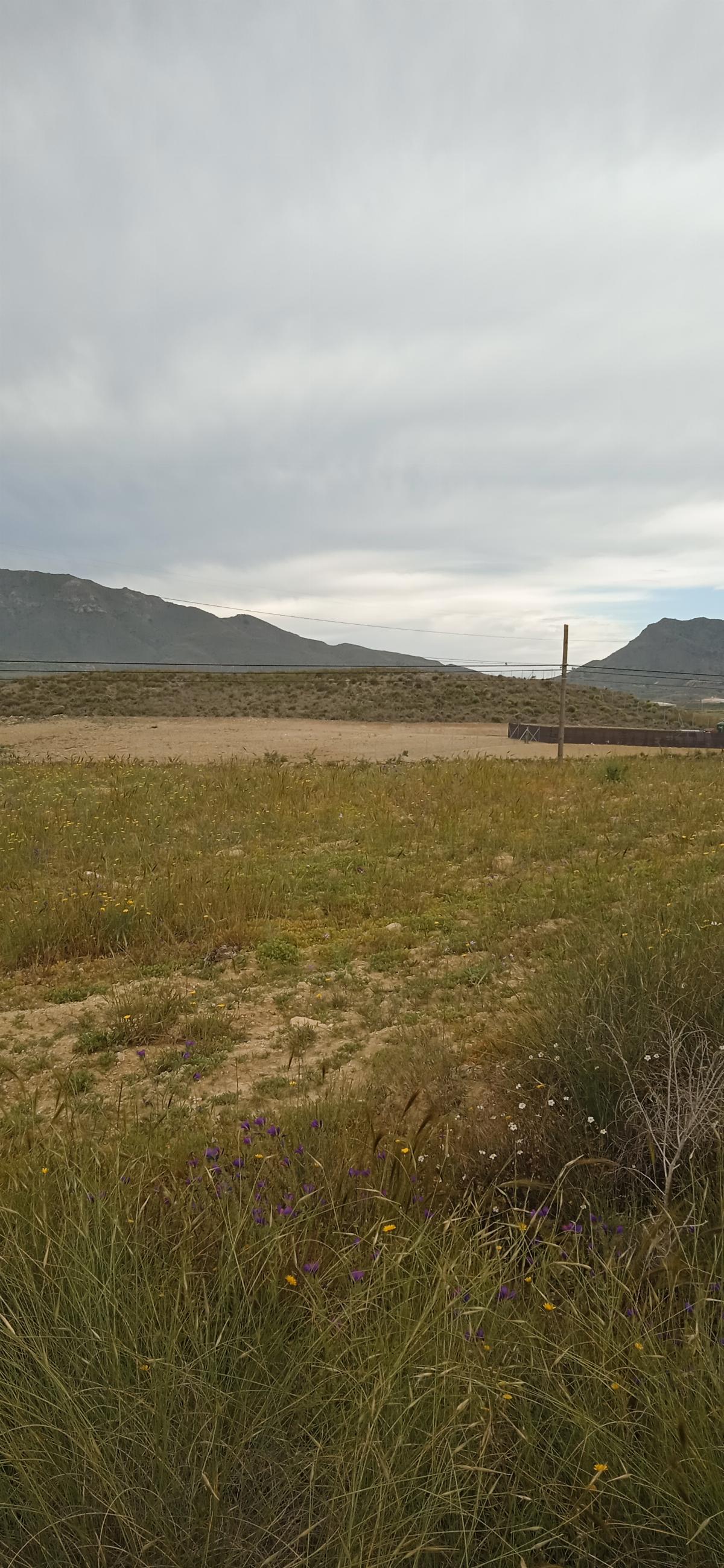 Venta de finca rústica en Mazarrón