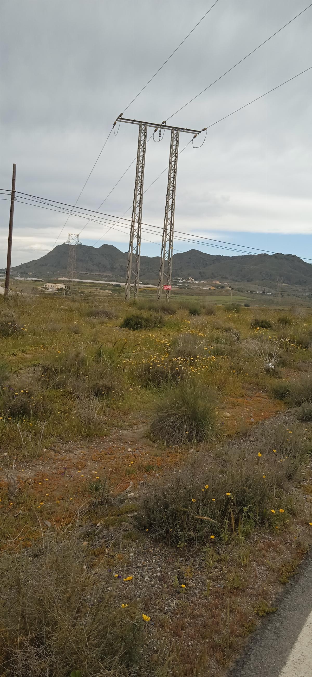 Venta de finca rústica en Mazarrón