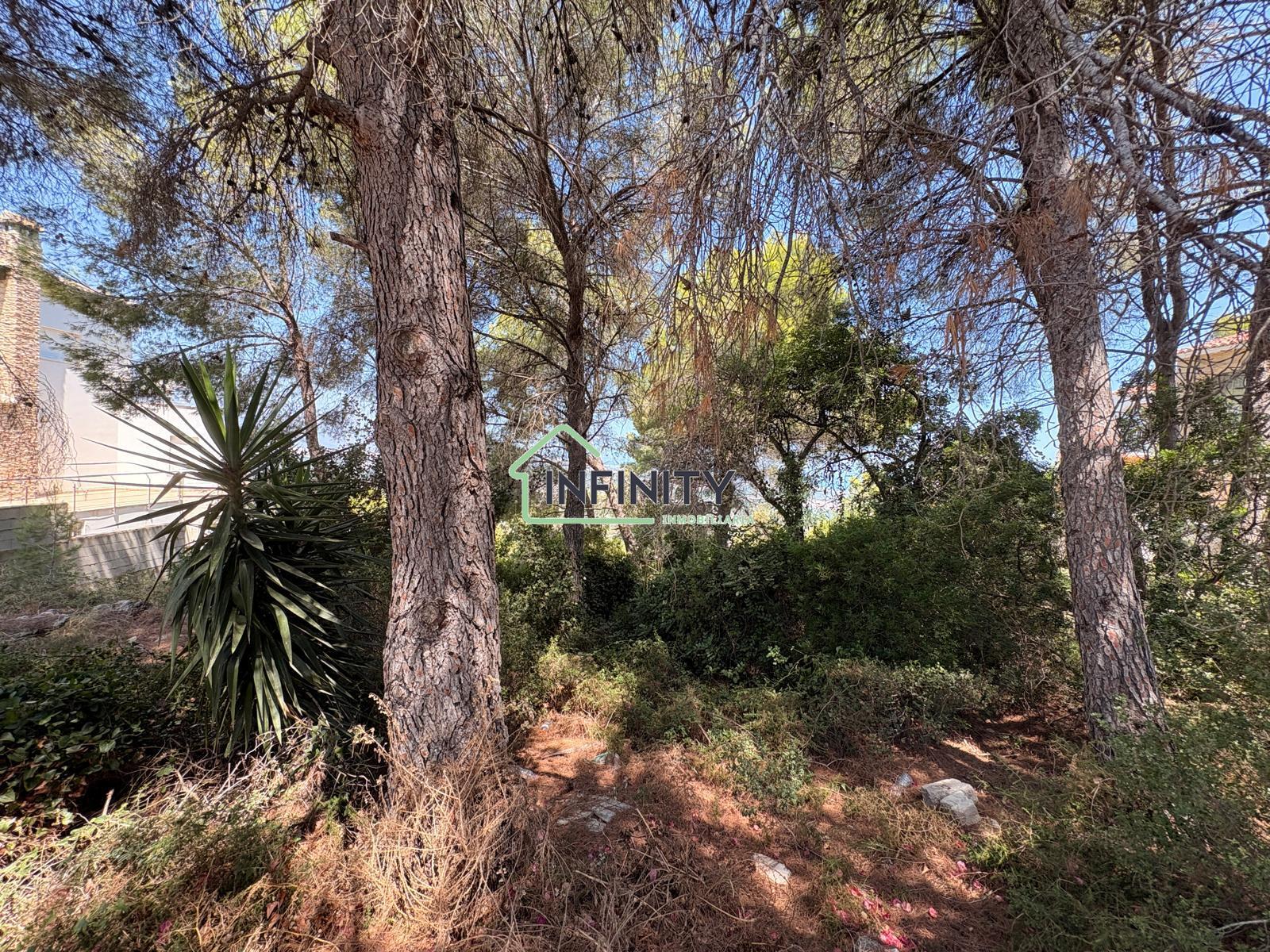 Venta de terreno en La Font d en Carròs