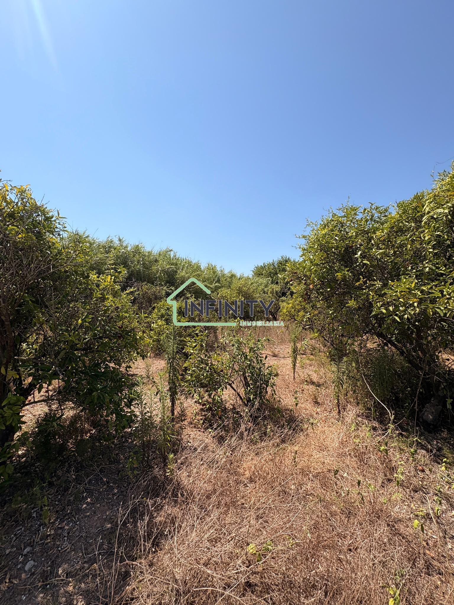 Venta de terreno en La Font d en Carròs