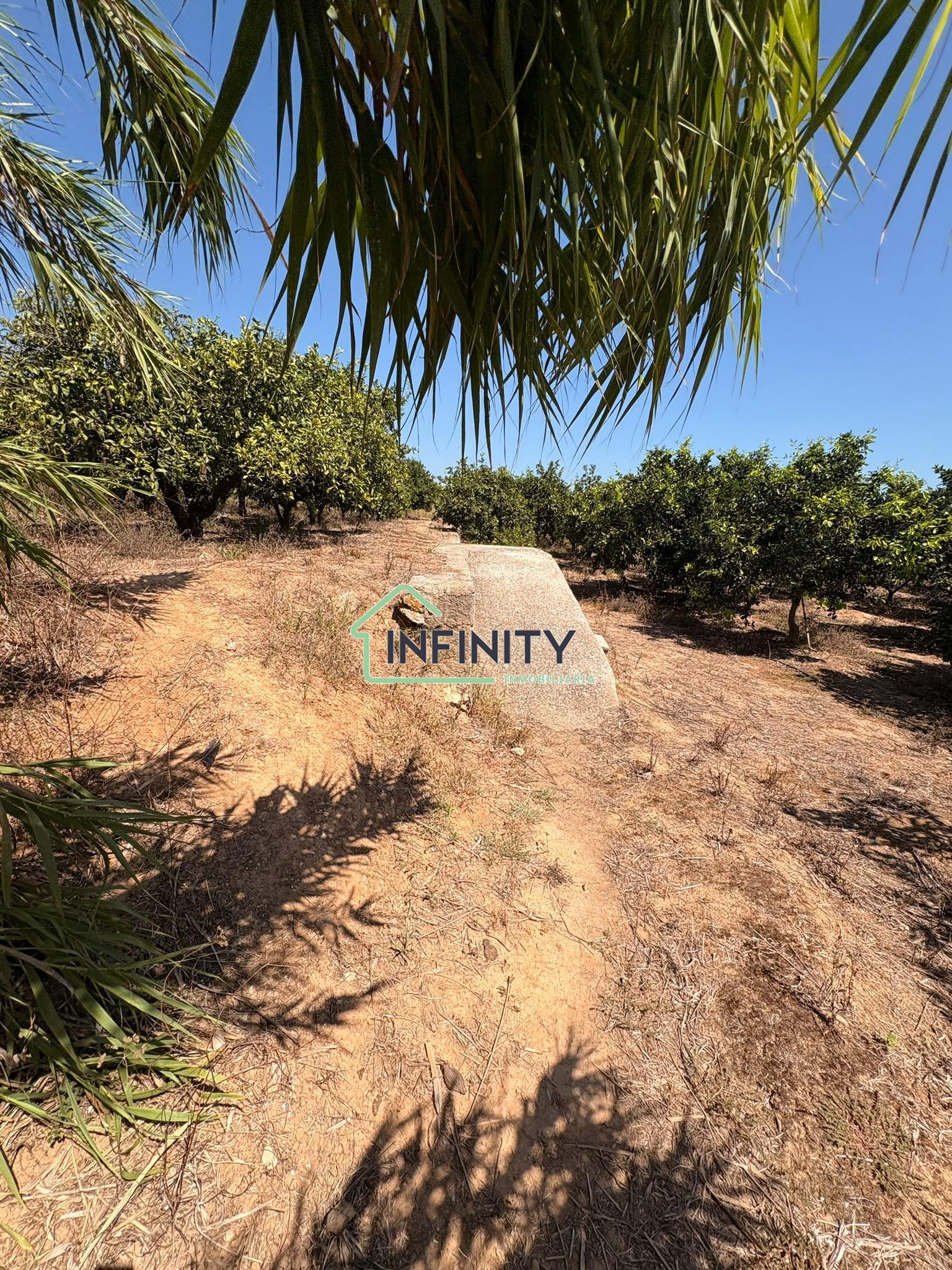 Venta de terreno en La Font d en Carròs