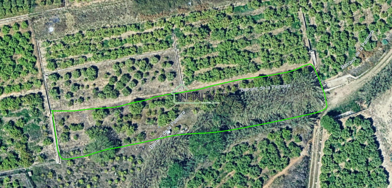 Venta de terreno en La Font d en Carròs
