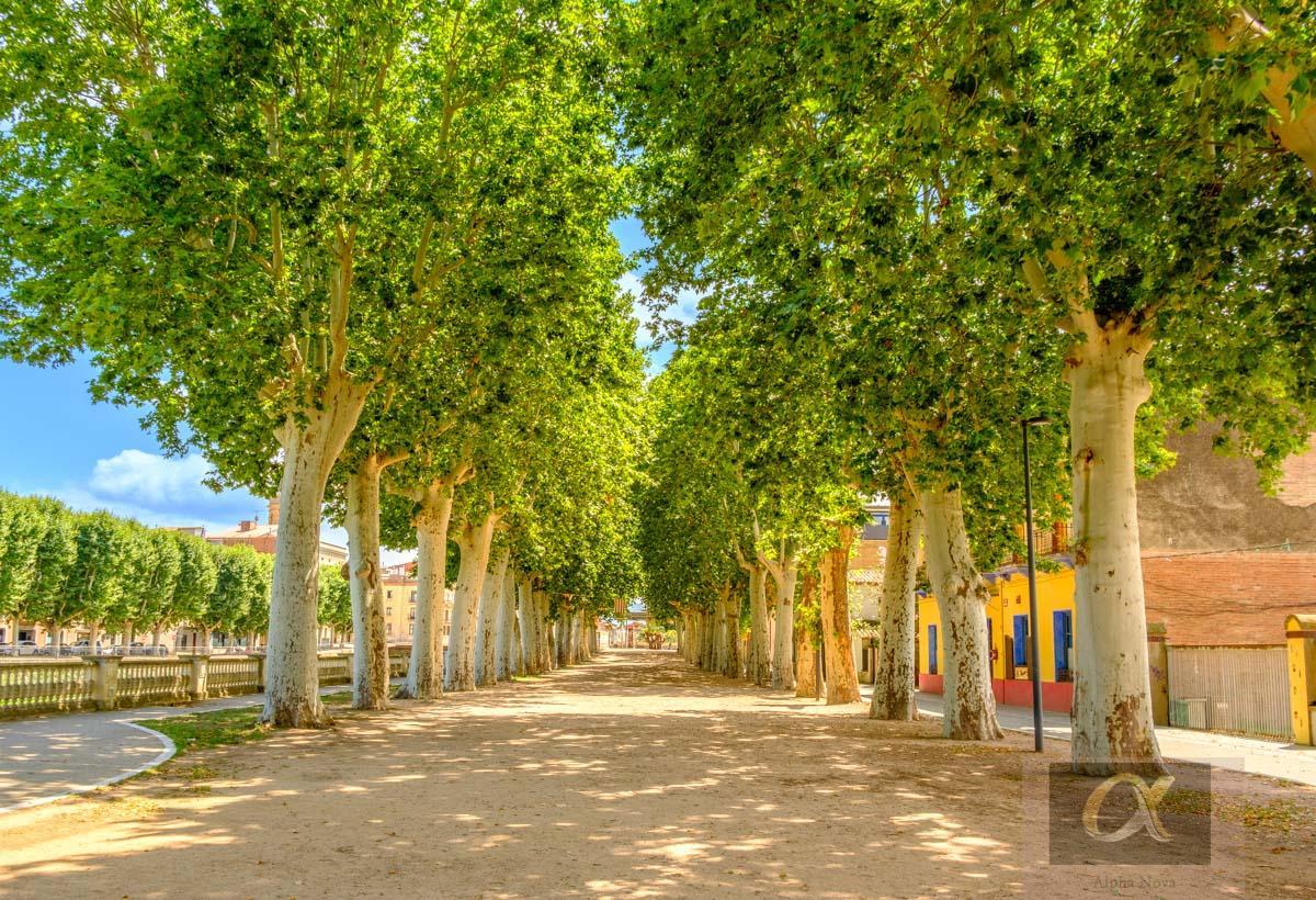 Venta de terreno en Forallac