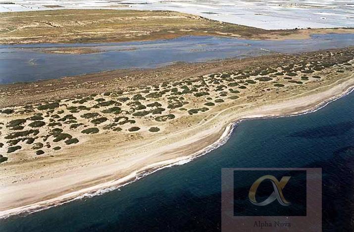 Venta de terreno en El Ejido