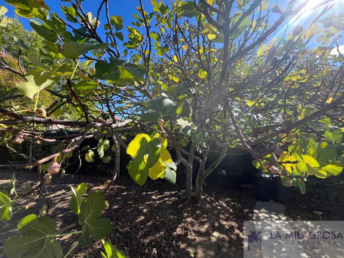 Jardín