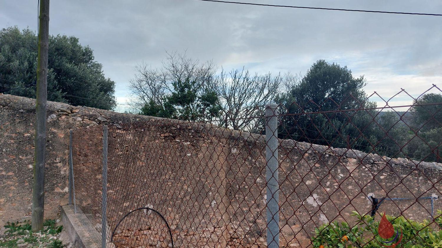 Venta de terreno en Albinyana Venta de terreno en Albinyana