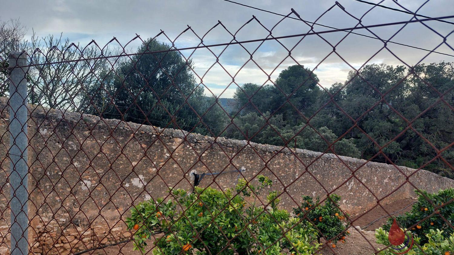 Venta de terreno en Albinyana