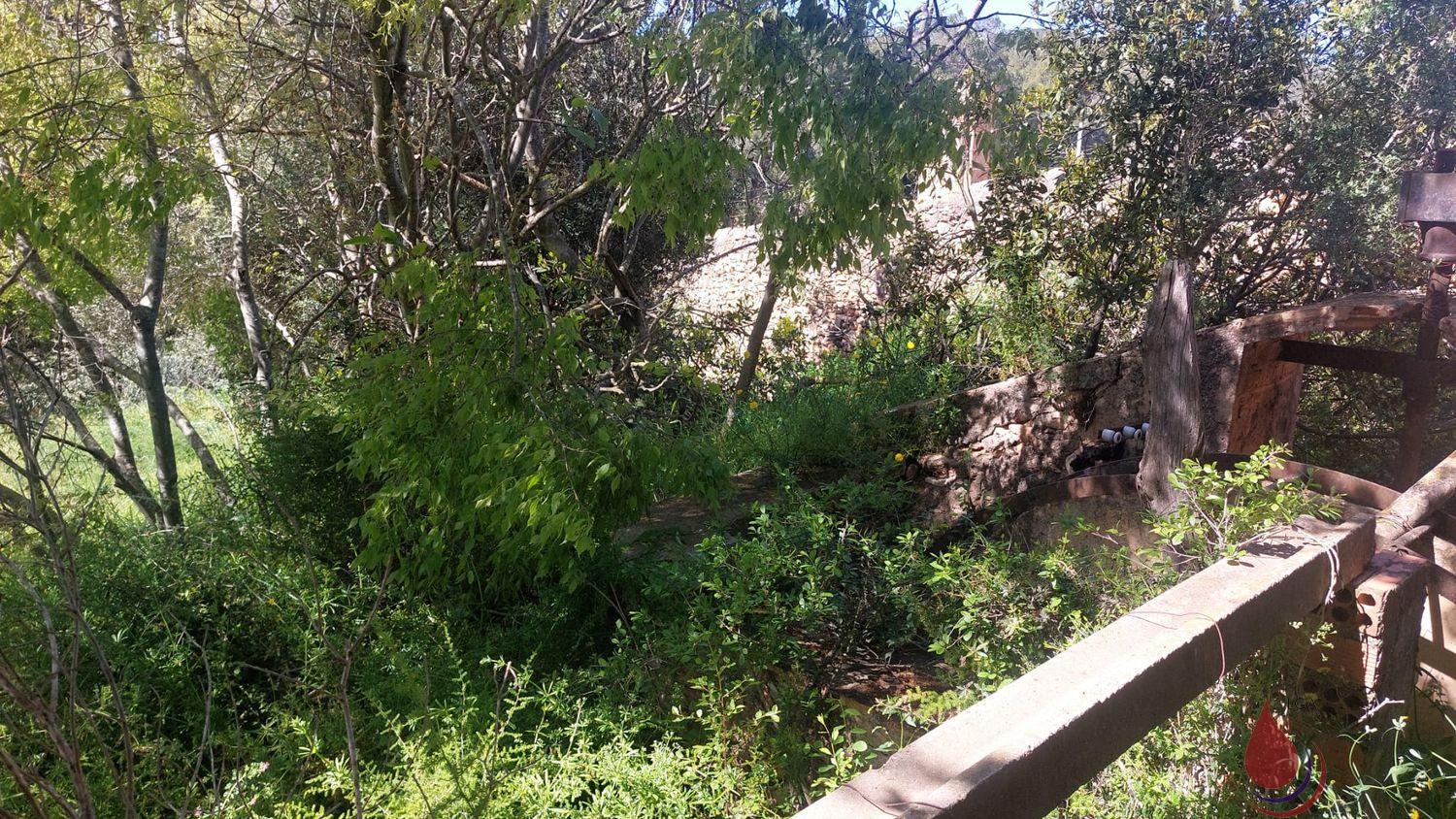 Venta de terreno en Albinyana Venta de terreno en Albinyana