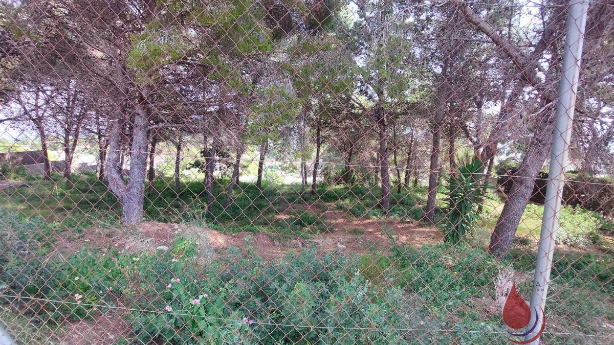 Venta de terreno en Coma - Ruga Venta de terreno en Coma - Ruga