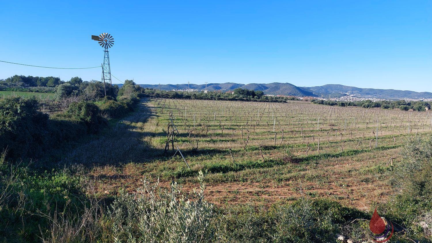 Venta de terreno en Santa Oliva