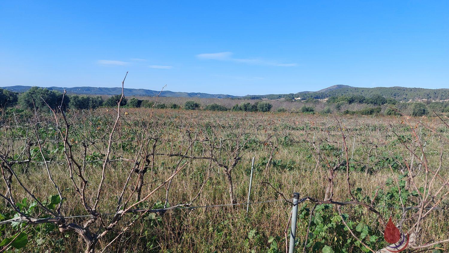 Venta de terreno en La Bisbal del Penedès