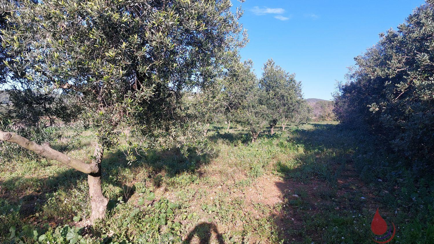 Venta de terreno en La Bisbal del Penedès