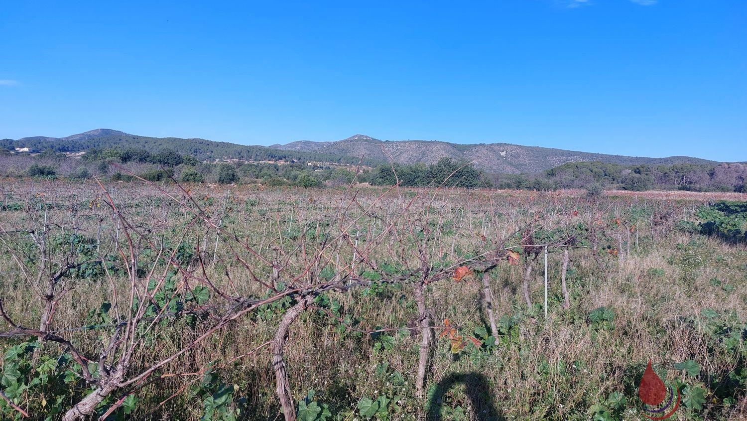 Venta de terreno en La Bisbal del Penedès