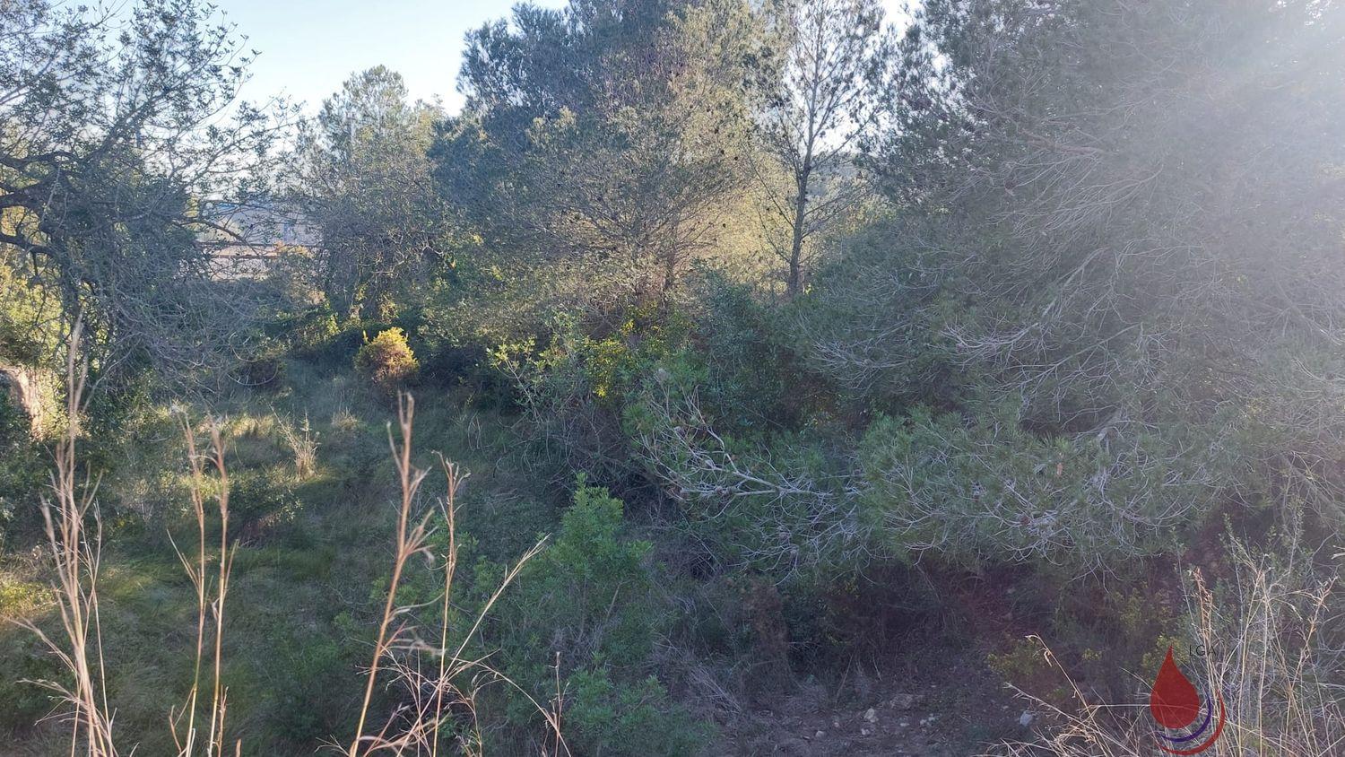 Venta de terreno en El Vendrell Venta de terreno en El Vendrell