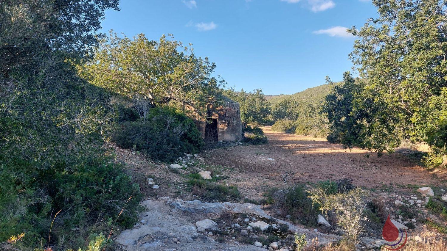 Venta de terreno en El Vendrell Venta de terreno en El Vendrell