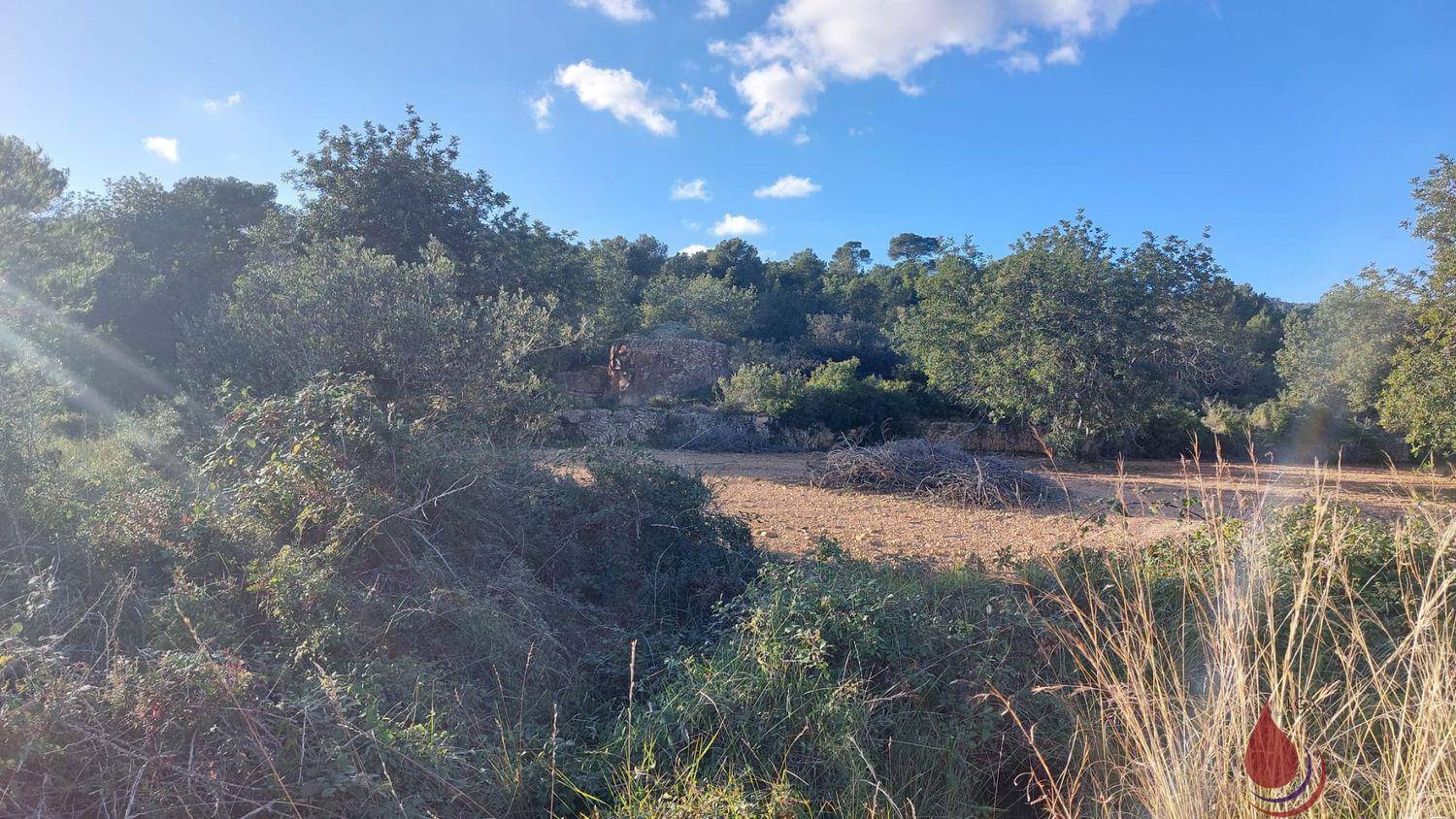 Venta de terreno en El Vendrell Venta de terreno en El Vendrell